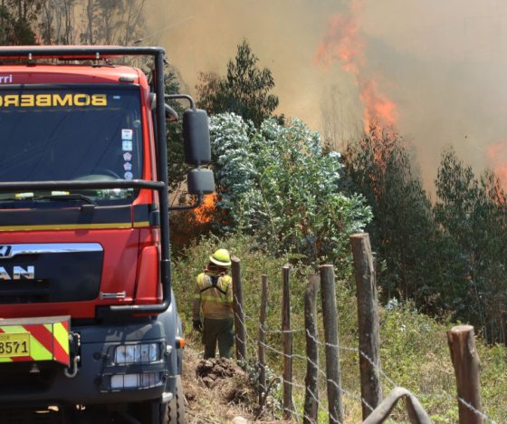 Las emisiones de dióxido de carbono se incrementaron a nivel mundial por los incendios