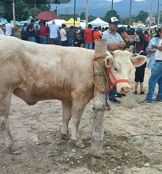 Feria Productiva en Paquisha por su Aniversario de Cantonización