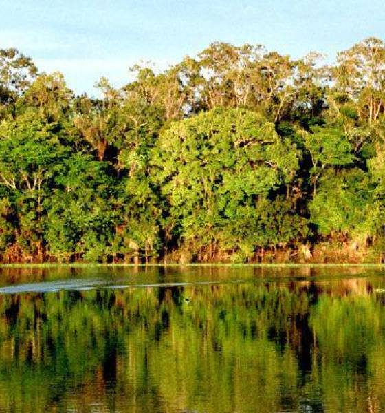 Lluvias intensas se reportan al norte de la Amazonía, cerca de Coca Codo Sinclair